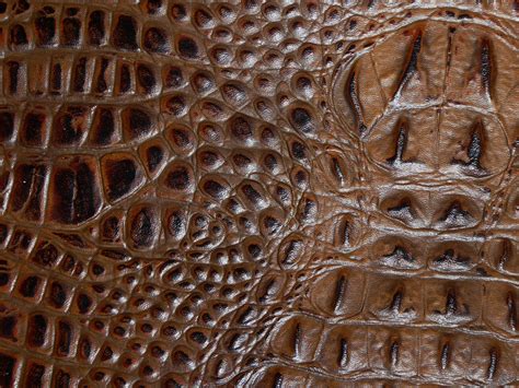 what is crocodile embossed leather.